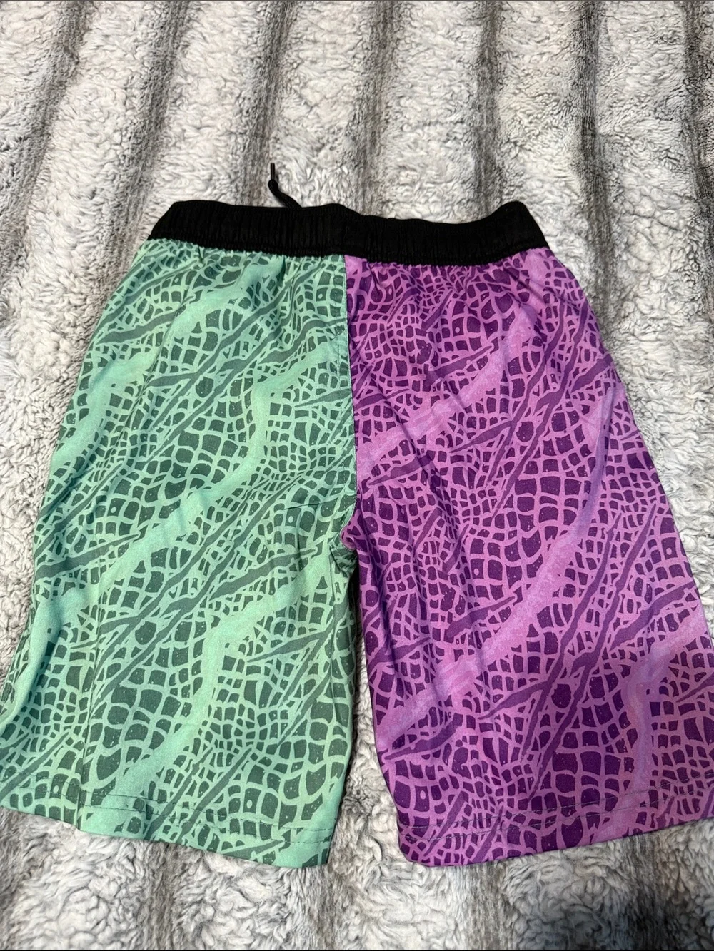 Two Swim Trunks (CARTERS-JURASSIC PARK)